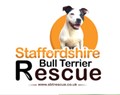 Staffordshire Bull Terrier Rescue